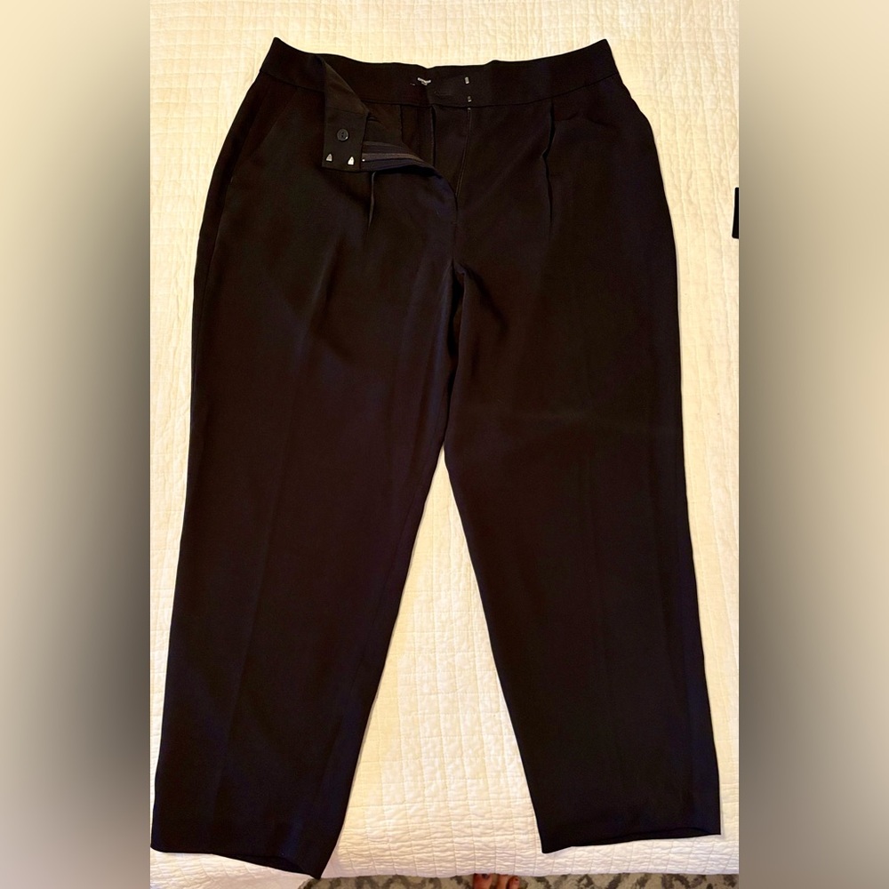 Express Stylist Baggy Pleated Black Straight Dress Pants
